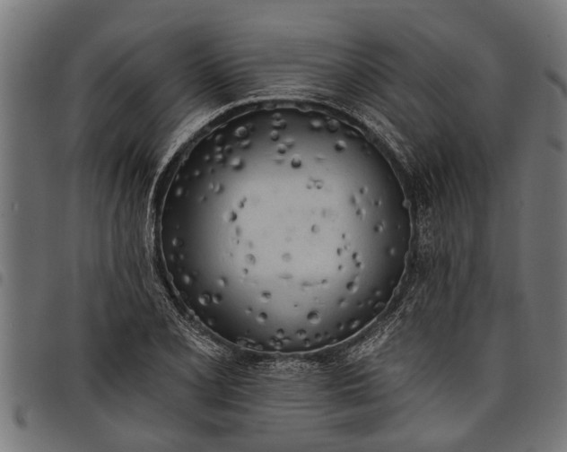 X0000097811077200803281052