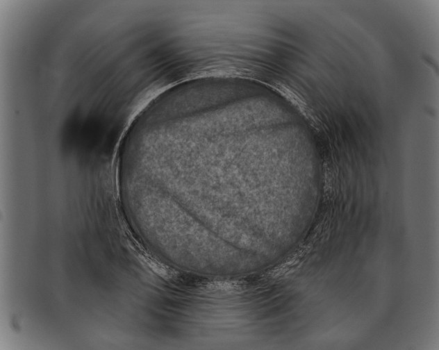 X0000097811078200803281052