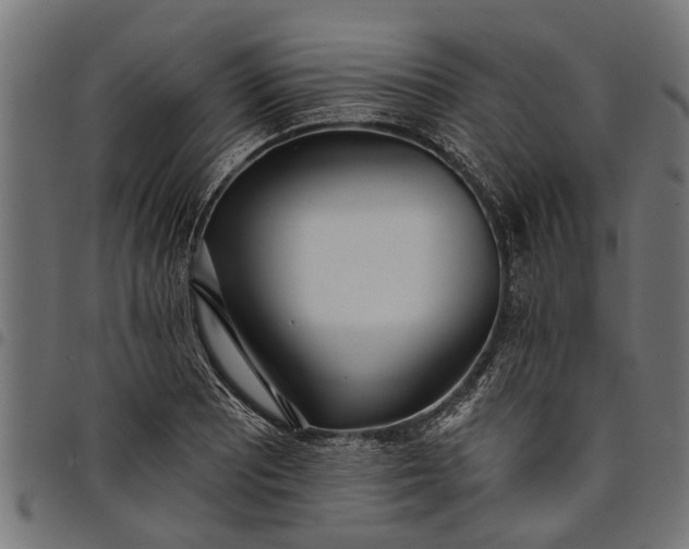 X0000097811081200803281052