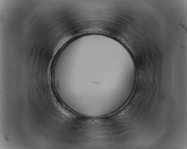 X0000097811082200803281052