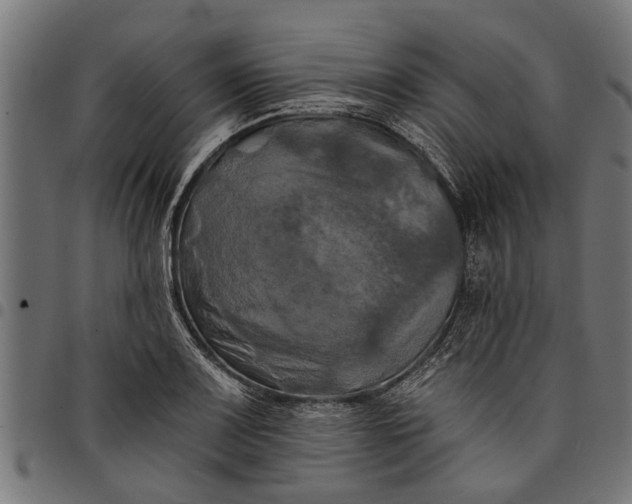 X0000097811083200803281052