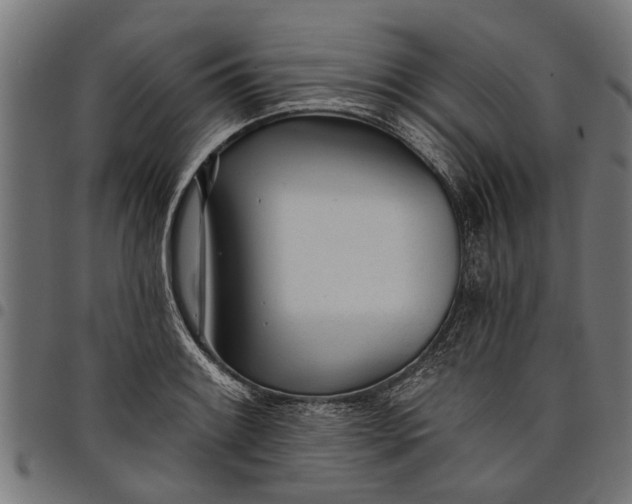 X0000097811084200803281052