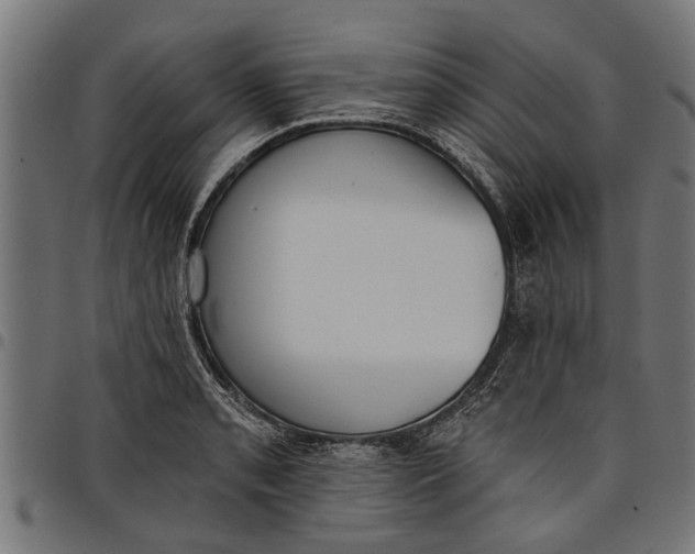 X0000097811085200803281052