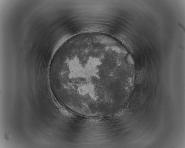 X0000097811086200803281052