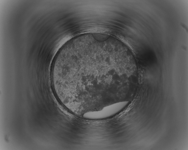 X0000097811087200803281052