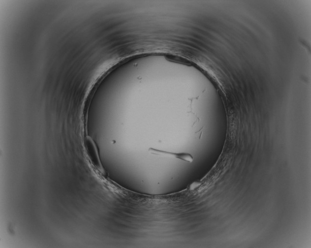 X0000097811088200803281052