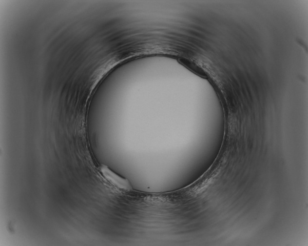 X0000097811089200803281052