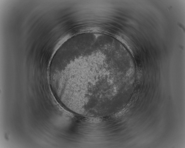 X0000097811090200803281052