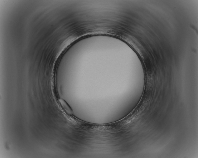 X0000097811093200803281052