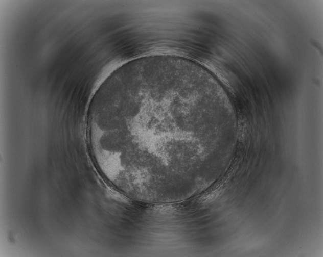 X0000097811094200803281052