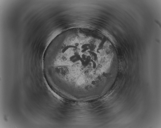 X0000097811095200803281052