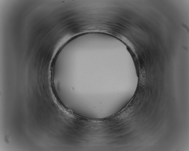 X0000097811096200803281052