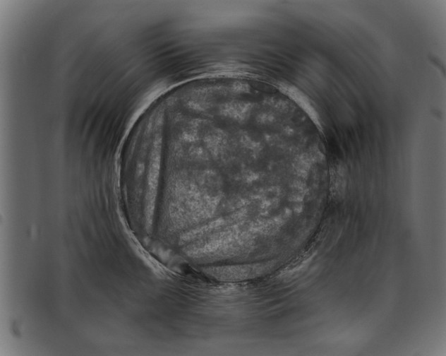 X0000097811099200803281052