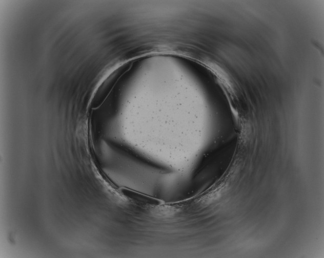 X0000097811100200803281052