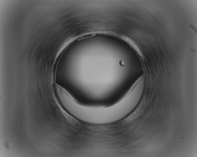 X0000097811101200803281052