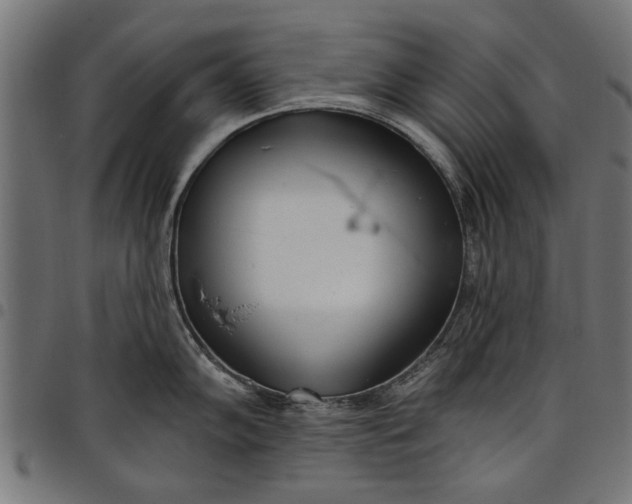 X0000097811102200803281052