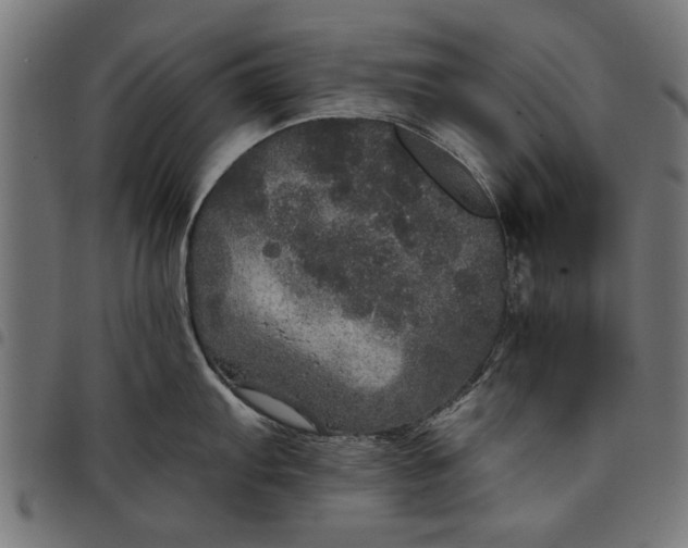 X0000097811103200803281052