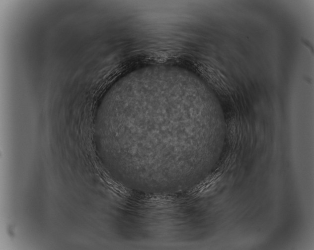 X0000097811105200803281051