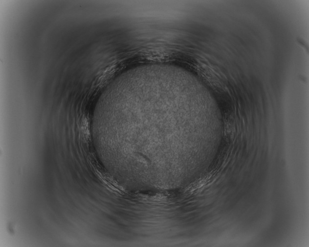 X0000097811106200803281051