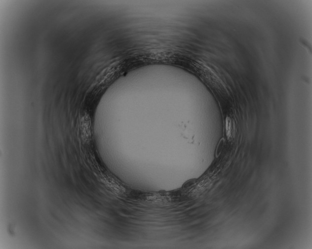 X0000097811107200803281051