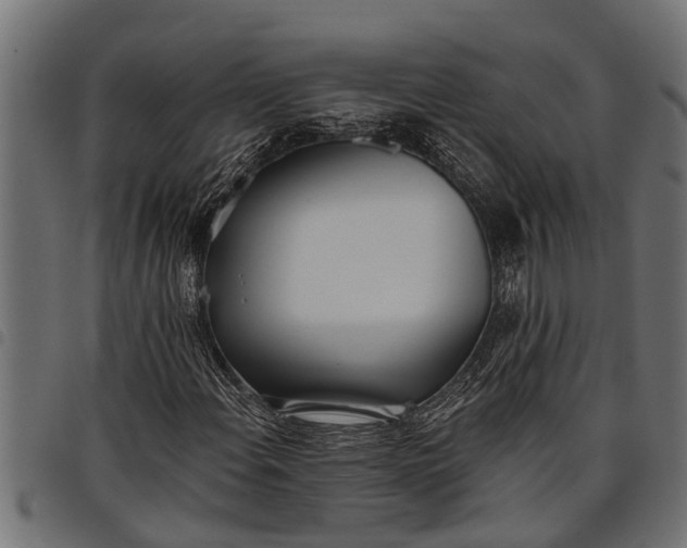 X0000097811108200803281052