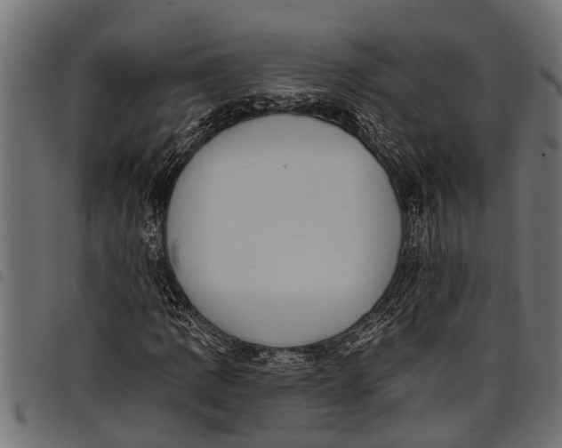 X0000097811109200803281052