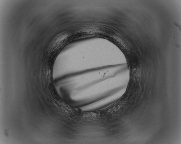 X0000097811111200803281052