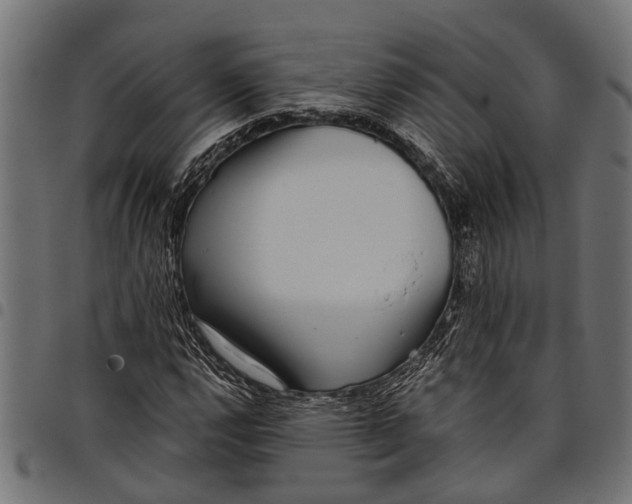 X0000097811112200803281052