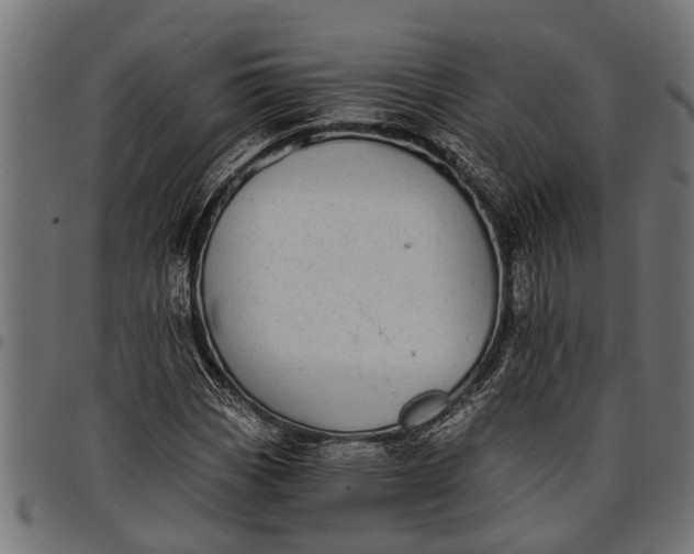 X0000097811113200803281052