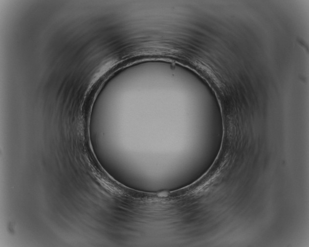 X0000097811114200803281052