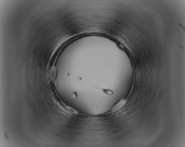 X0000097811116200803281052