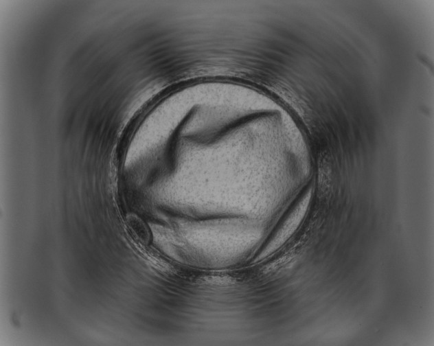 X0000097811119200803281052