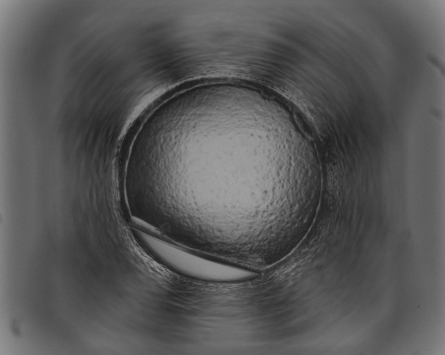 X0000097811120200803281052