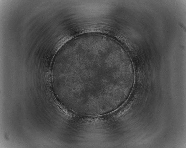 X0000097811121200803281052