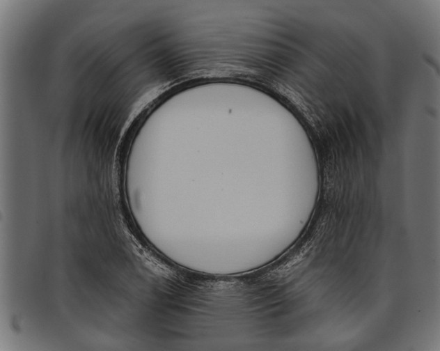 X0000097811122200803281052