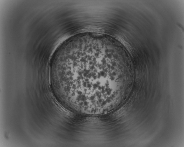 X0000097811123200803281052