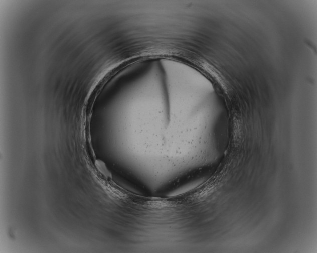 X0000097811124200803281052