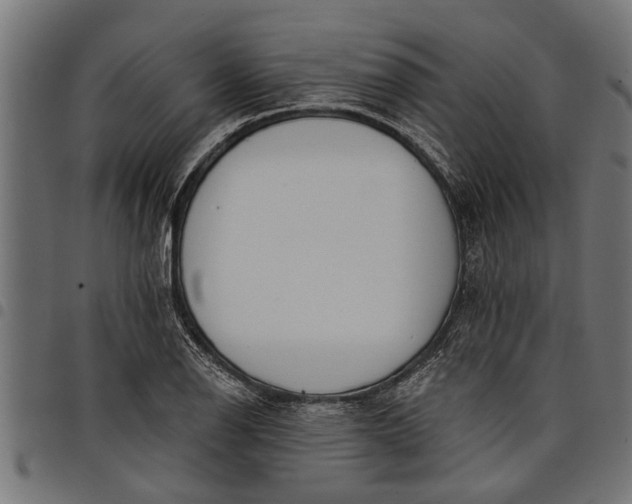 X0000097811126200803281052