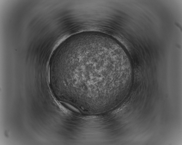 X0000097811127200803281052