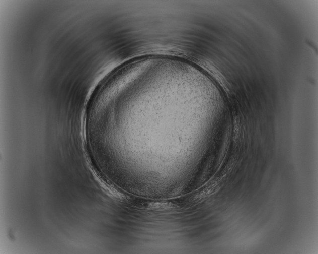 X0000097811128200803281052