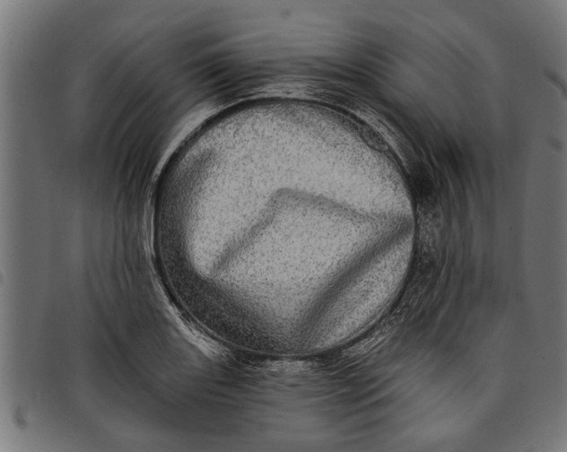 X0000097811131200803281052