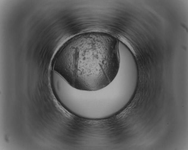 X0000097811132200803281052