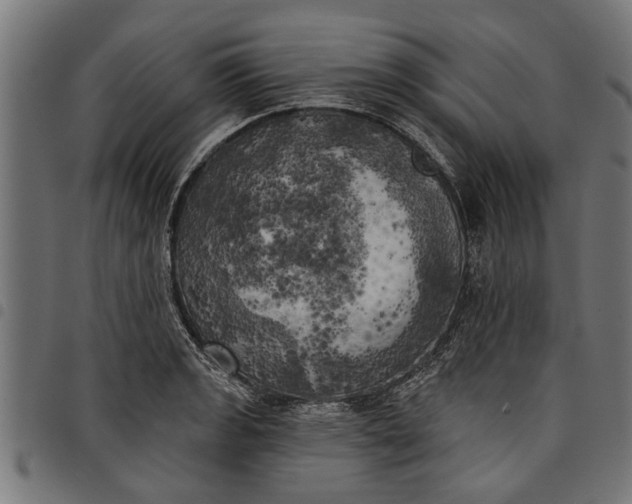 X0000097811133200803281052