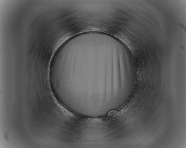 X0000097811135200803281052