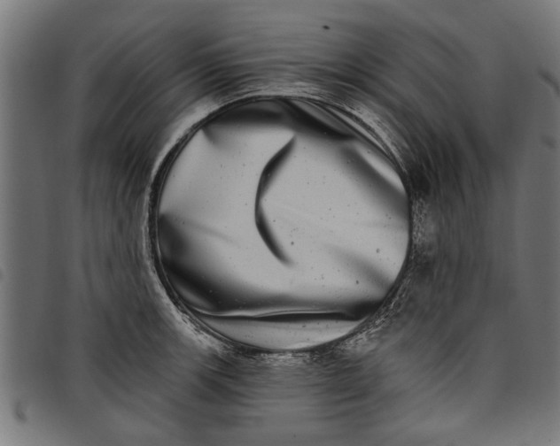 X0000097811139200803281052