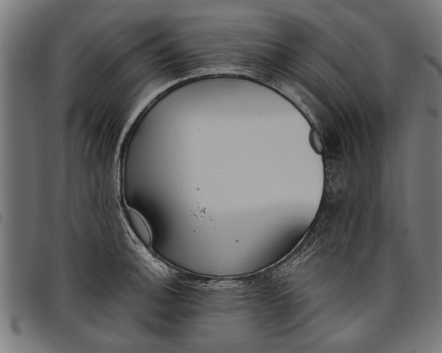 X0000097811140200803281052