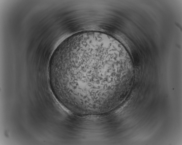 X0000097811141200803281052