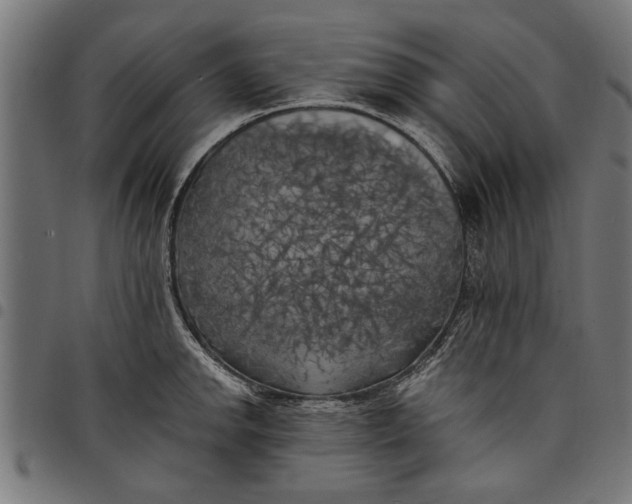 X0000097811142200803281052