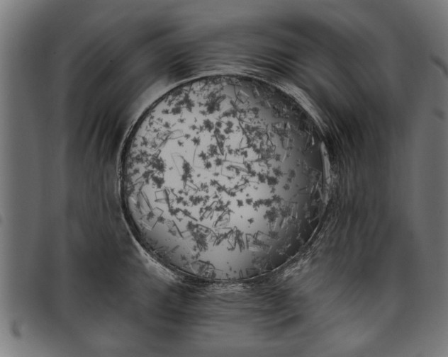 X0000097811143200803281052