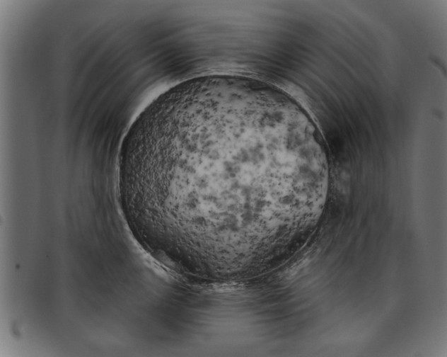 X0000097811147200803281052